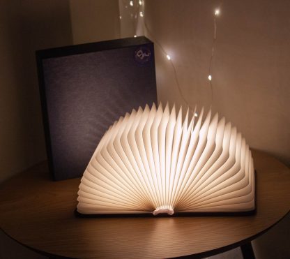 Нічник "Книга" акумуляторний, 3 режима світла